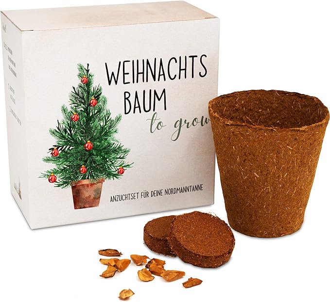 Tannenbaum Geschenk Set - Tannenbaum in der Dose Anzuchtset mit Kokostablette und Zellulose Topf - 8-10 Samen für 5 Tannenbäume Weihnachtsbaum Anzuchtset als Adventskalender Füllung