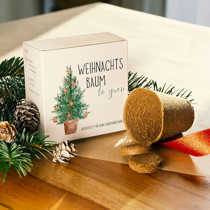 Tannenbaum Geschenk Set - Tannenbaum in der Dose Anzuchtset mit Kokostablette und Zellulose Topf - 8-10 Samen für 5 Tannenbäume Weihnachtsbaum Anzuchtset als Adventskalender Füllung