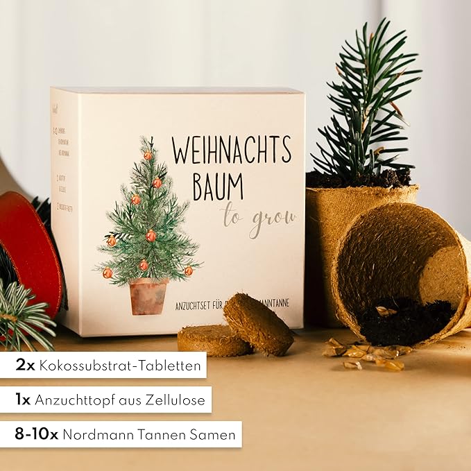 Tannenbaum Geschenk Set - Tannenbaum in der Dose Anzuchtset mit Kokostablette und Zellulose Topf - 8-10 Samen für 5 Tannenbäume Weihnachtsbaum Anzuchtset als Adventskalender Füllung