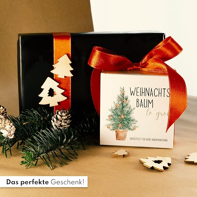 Tannenbaum Geschenk Set - Tannenbaum in der Dose Anzuchtset mit Kokostablette und Zellulose Topf - 8-10 Samen für 5 Tannenbäume Weihnachtsbaum Anzuchtset als Adventskalender Füllung