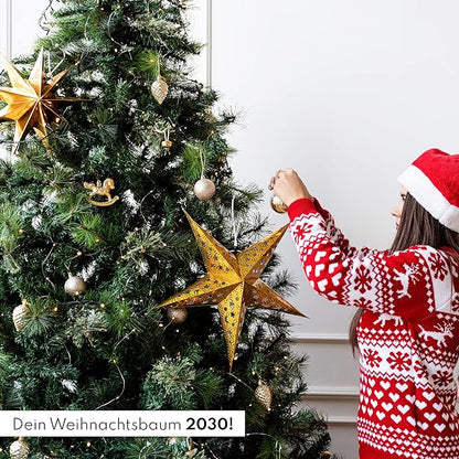 Tannenbaum Geschenk Set - Tannenbaum in der Dose Anzuchtset mit Kokostablette und Zellulose Topf - 8-10 Samen für 5 Tannenbäume Weihnachtsbaum Anzuchtset als Adventskalender Füllung